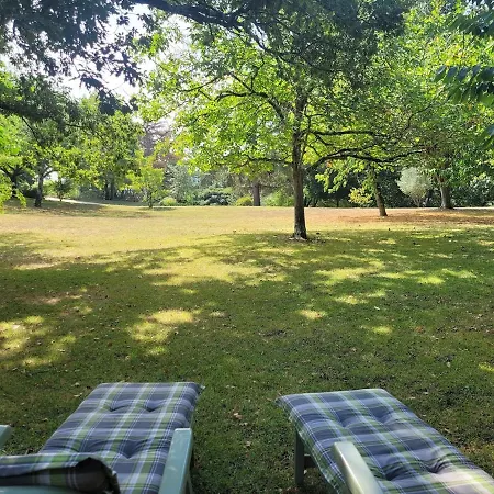 En Pierre Dans Un Parc Arbore