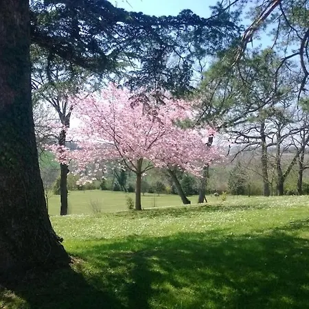 بيت للعطل En Pierre Dans Un Parc Arbore كوندوم